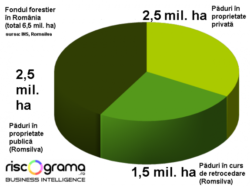 Vreti protectie sociala? Dati-le popilor padurile!