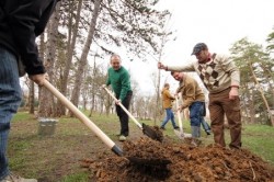 O noua actiune de plantare a pomilor in centrul Iasului
