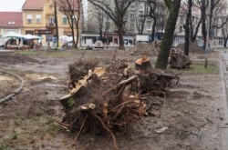 Comunicatul Garzii de Mediu. Arhitectul peisagist nu recunoaste inventarul spatiilor verzi