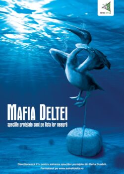 Mafia Deltei, prezentata de Propaganda intr-o campanie pentru Salvati Dunarea si Delta