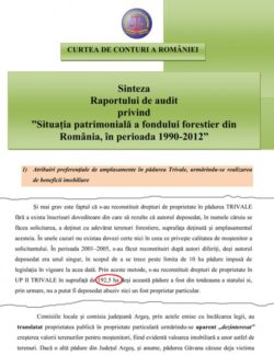 Padurea Trivale, defrisata cu girul prefectilor de Arges
