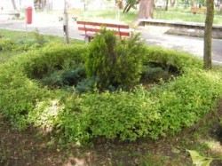 Verde de Beclean