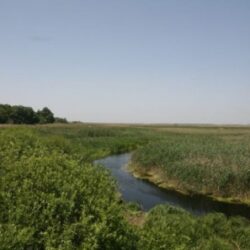 Delta Neajlovului, o minune cu ghimpi!