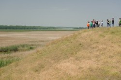 WWF inaugureaza un observator turistic la confluenta Olt-Dunare