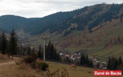 Aparatorii padurilor se implica in scandalul de retrocedare abuziva de la Comanesti