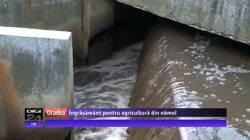 Ingrasamant ecologic din reziduuri de pe conducte, cel mai nou plan al Companiei de Apa Oradea