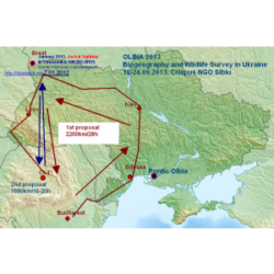 Actiune de expertiza a sistemelor ecologice specifice sacalului in Ucraina, OLBIA 2013 Citeste mai mult: Actiune de expertiza a sistemelor ecologice specifice sacalului in Ucraina, OLBIA 2013