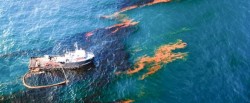 Bacteria care „mananca” petele de petrol