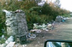 Munti de gunoaie au aparut pe un drum judetean din Arad, intre satul Rapsig si orasul Sebis