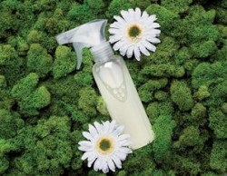 Insecticid-ecologic-din-ulei-si-detergent-de-vase