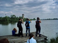 Ornitologii satmareni au participat din nou la actiunea de monitorizare a pasarilor de toamna “European Birdwatch”