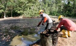 Ecuador: Amenda Chevron pentru poluare, redusa la jumatate - 9,5 miliarde dolari. Sentinta e definitiva