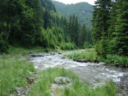 Unul dintre cele mai frumoase rauri din Romania risca sa devina un amestec de noroi si piatra din cauza unei microhidrocentrale