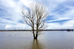Cercetatorii indeamna spre dezvoltarea stiintelor si politicilor in directia adaptarii la schimbarile climatice