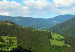Provocari pentru Protectia Mediului Mures