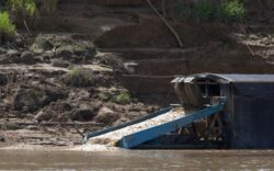 Cautatorii de aur devasteaza padurea amazoniana