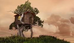 O familie din Bistrita este hotarata sa construiasca prima casuta ecologica intr-o mare de vile