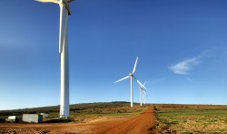 RWEA: "Energia eoliana a coborat vertiginos pretul electricitatii pe bursa"