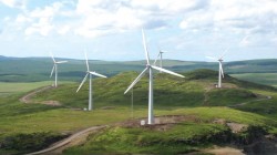 RWEA: "Producatorii de energie verde se pregatesc sa dea statul in judecata"