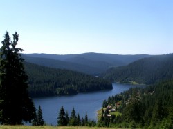Varga: Proprietarii de paduri, platiti sa le mentina din vanzarea certificatelor de emisii CO2