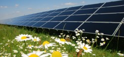 La Olt “infloresc” parcurile fotovoltaice