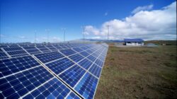 Parcul fotovoltaic de la Livada, al doilea ca marime din Europa, va intra in curand in functiune