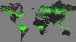 Harta mondiala a defrisarilor. Pamantul a pierdut 2,3 milioane de kilometri patrati de padure in ultimul deceniu