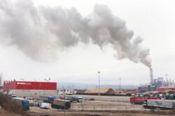 Un deputat critica poluarea produsa de Kronospan si lipsa de reactie a autoritatilor de Mediu