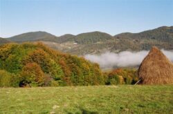 Mai multe institutii publice din judet au fost implicate intr-un proiect care vizeaza punerea in valoare a Patrimoniului Natural Protejat al Maramuresului