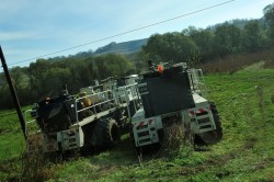Prospectiuni SA ataca ecologistii in instanta