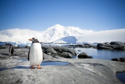 Antarctic marine sanctuary