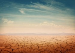 Schimbarile climatice afecteaza fertilitatea solurilor