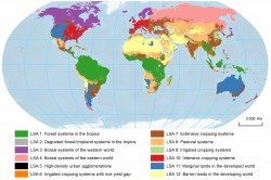 Ce ne spune harta globala a utilizarii terenurilor?
