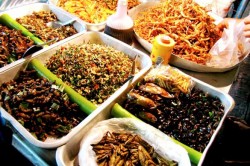 Vine foametea mondiala. Cu totii vom manca insecte?