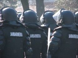 Jandarmii vor asigura paza fondului silvic, potrivit unei modificari a Codului Silvic, adoptate de Senat