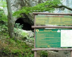 Planul de management al Parcului „Gradistea Muncelului – Cioclovina” va fi revizuit din fonduri europene