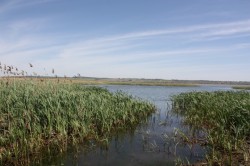 Asociatia Pentru Botosani lanseaza un proiect privind conservarea biodiversitatii din aria "Acumularile Rogojesti- Bucecea"