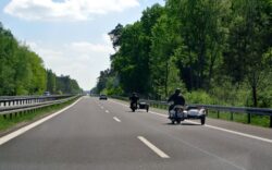 Autostrada Lugoj-Deva va fi prevazuta cu tunele de trecere pentru animalele salbatice