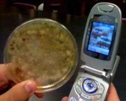 Tenerarca, telefonul celular "verde" care tine microbii la distanta