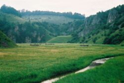 1,5 milioane de euro pentru revizuirea planului de management al Parcului Natural Gradistea Muncelului