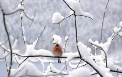 Prognoza climatica facuta acum 23 de ani s-a dovedit a fi corecta