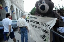 Ecologistii contesta decizia Curtii de Apel Bucuresti privind posibila asfaltare a DN 66A in zona muntilor Retezat-Godeanu