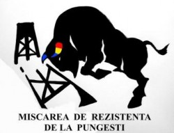 Mobilizare pe Facebook pentru un amplu protest la Pungesti