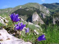 Retezatul, ultimul Peisaj Forestier Intact din zona de clima temperata a Europei