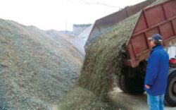 Investitie de 4 milioane de euro in cea mai moderna fabrica de reciclare a sticlei din Romania