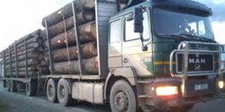 Radarul lemnului furat "bipaie" in Sibiu