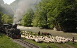 Turismul din Muntii Carpati ar putea aduce 42 de milioane de euro la bugetul statului