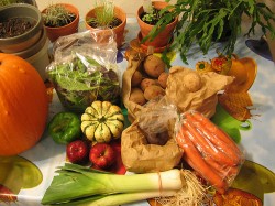Jennifer Lopez a devenit vegetariana