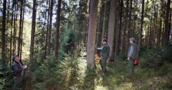 Lucia Varga: „Nimeni nu fura din padure fara stirea padurarului”