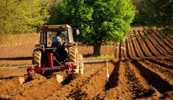 Romania se mandreste cu programul viticol si cu agricultura ecologica